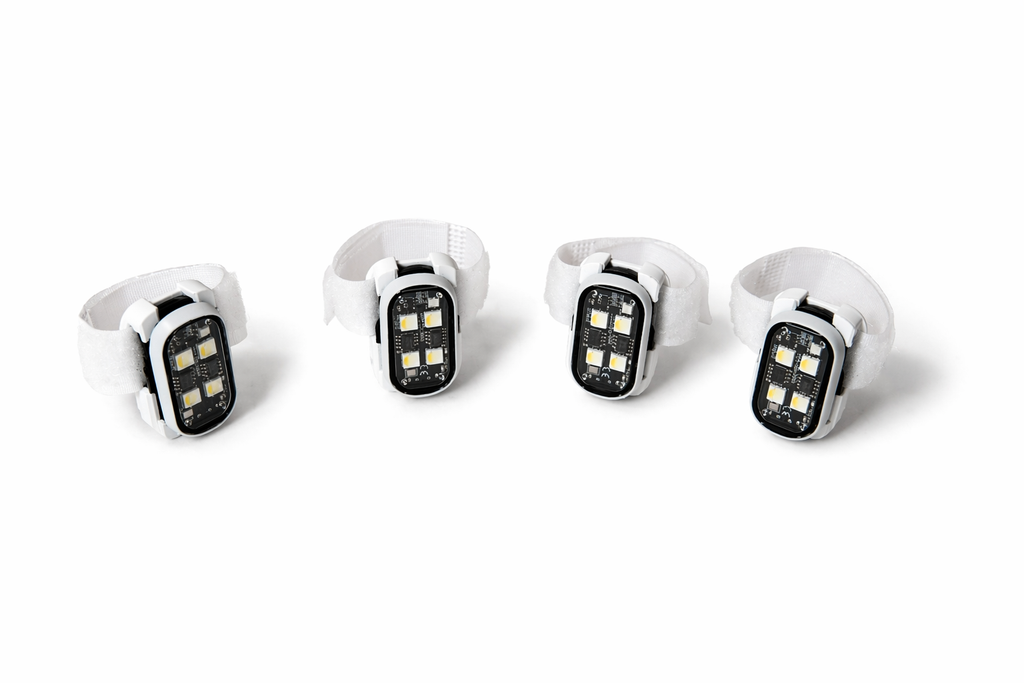 LED Calisthenics Light Kit – (White)